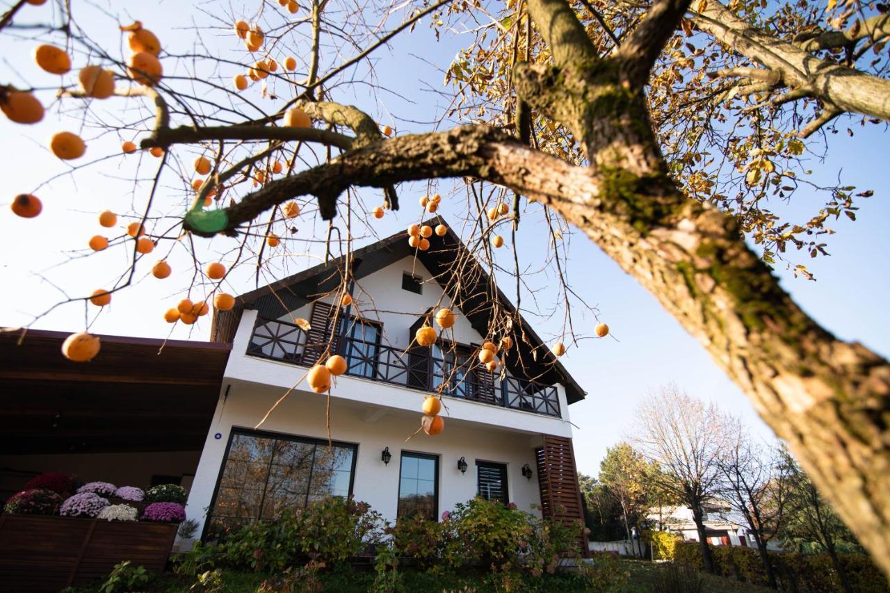 Villa Nora Butik Otel Ve Bungalov บูร์ซา ภายนอก รูปภาพ
